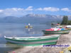 Pogradec lake