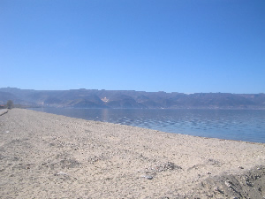 Plazhi i Pogradecit - drilon 